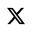  X Icon